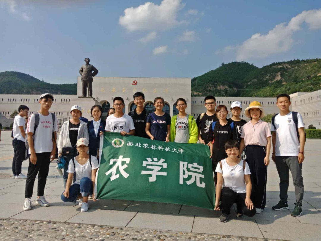 困在俱乐部的少女